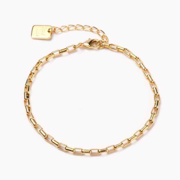 Pulsera PL12